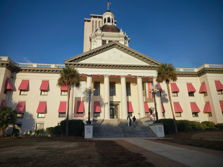 DD Awareness Day 2026 Capitol